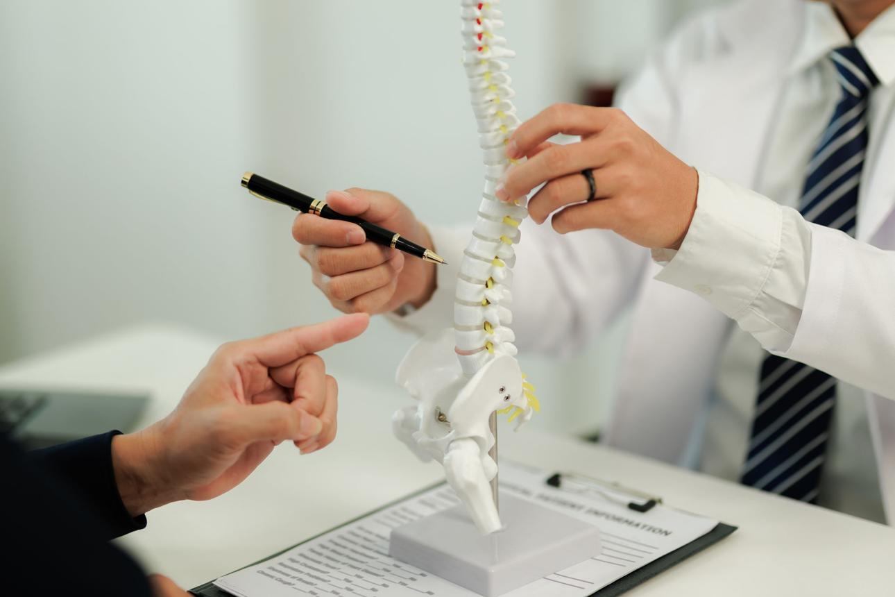 Spine