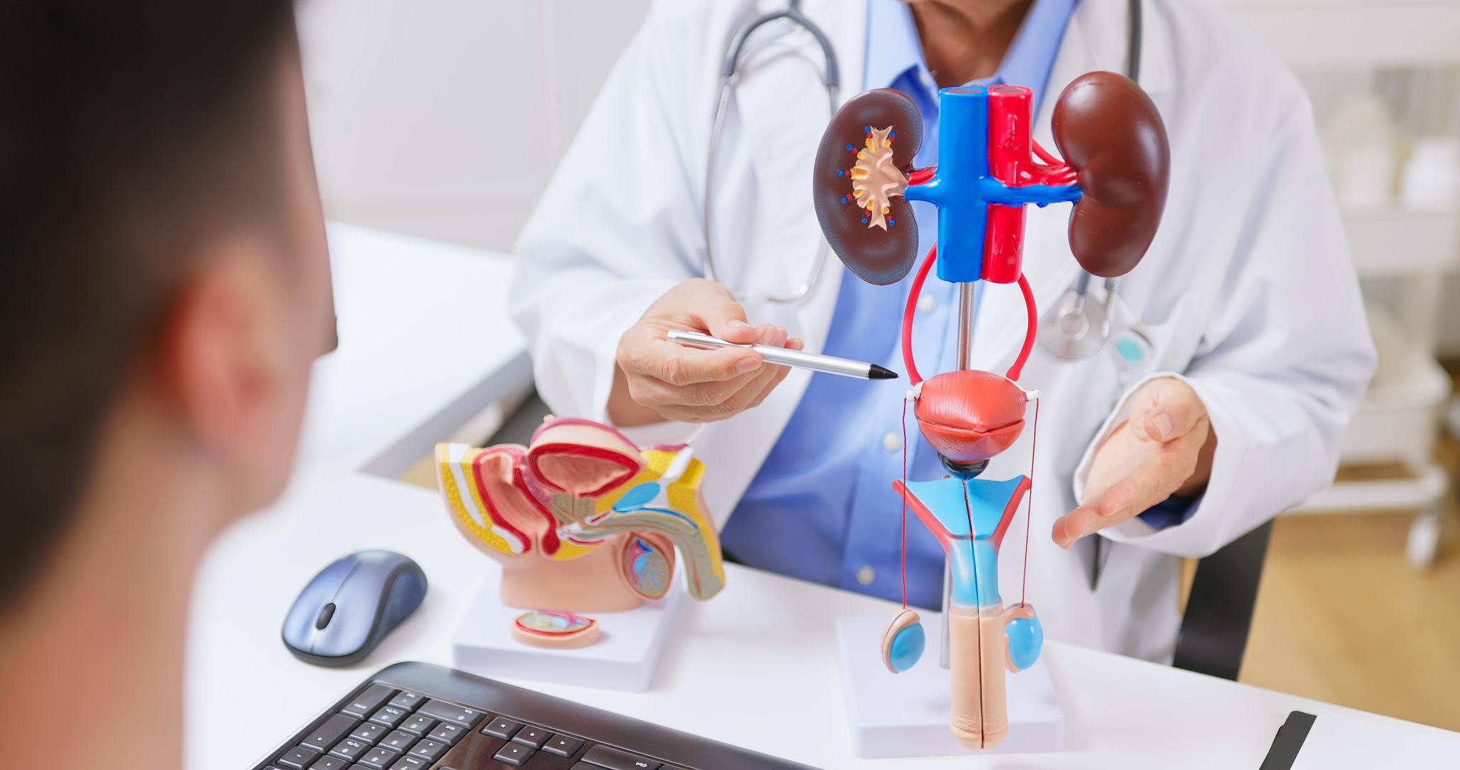 Urology